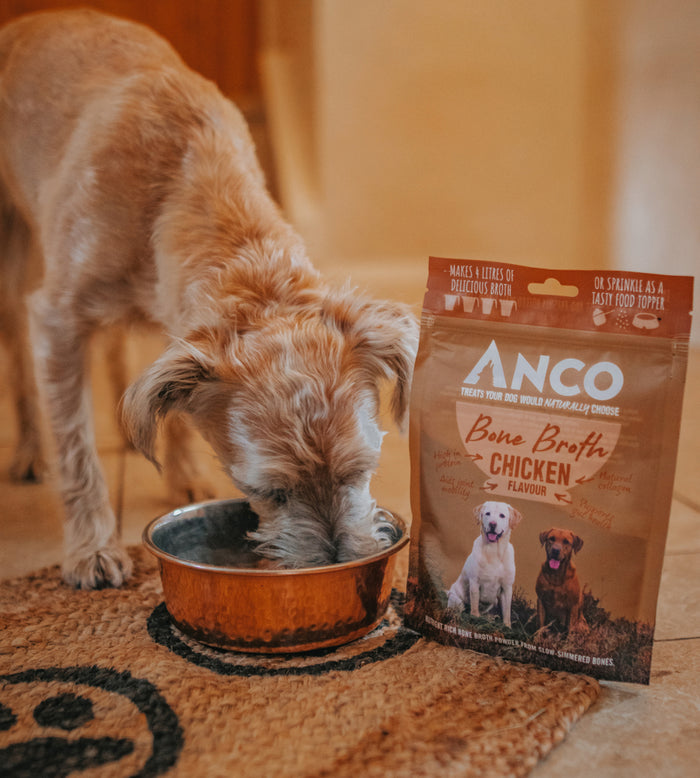 Anco Chicken Bone Broth Powder Joint & Gut Health Superfood