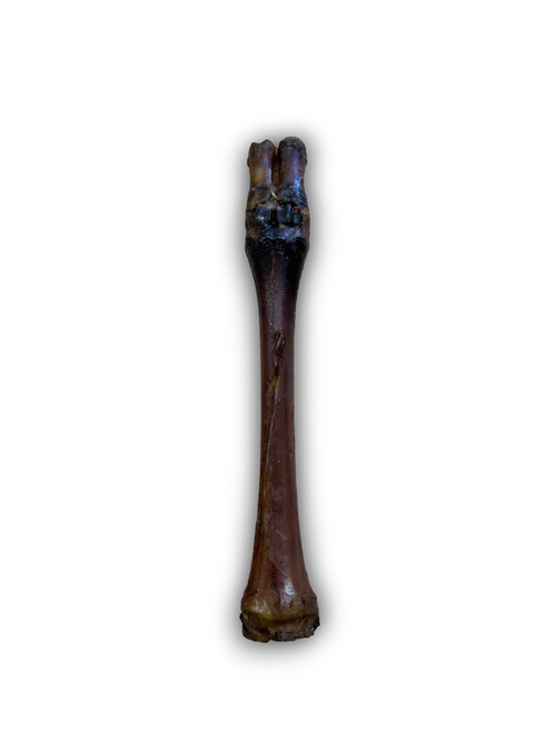 Anco Red Deer Leg Pure Venison Dog Treat for Power Chewers