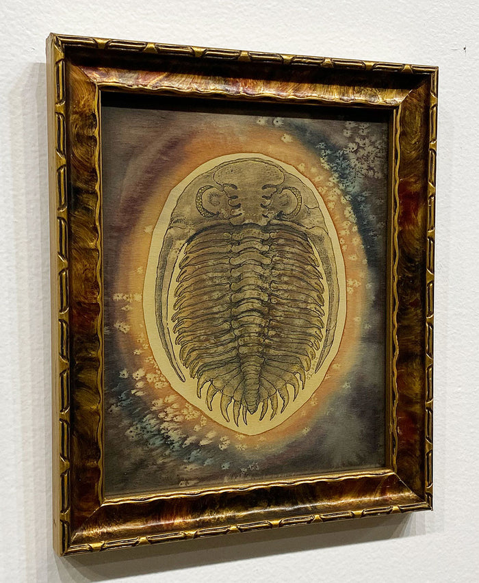 "Astropyge filoxemia- Devonian" by Ven Loetz