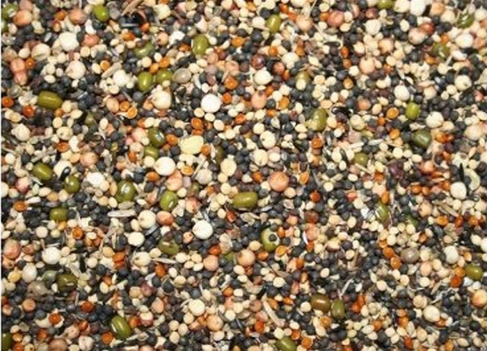 Bamfords Soak Seed 12.5kg
