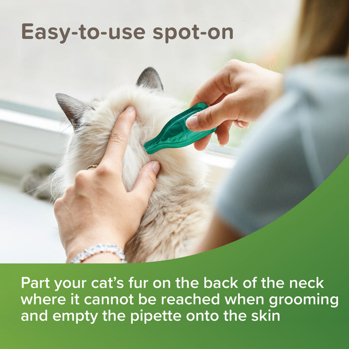 Beaphar | Cat Flea Repellent | VETOpure Natural Spot On Treatment