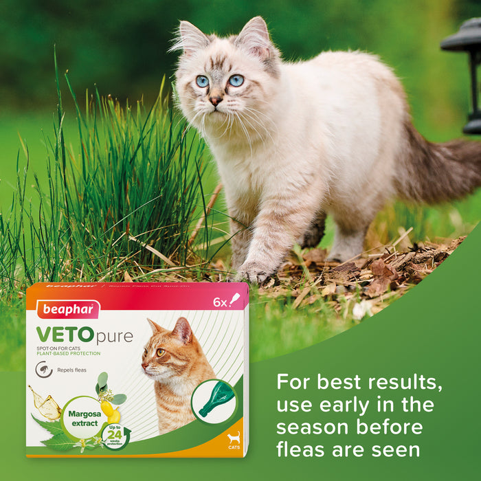 Beaphar | Cat Flea Repellent | VETOpure Natural Spot On Treatment
