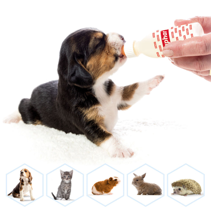 Beaphar Lactol Feeding Set - Bottle, Teats & Brush for Kittens, Puppies & Small Animals