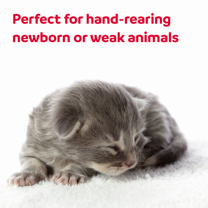 Beaphar Lactol Feeding Syringes - Precise Milk Feeding for Kittens, Puppies & Small Animals
