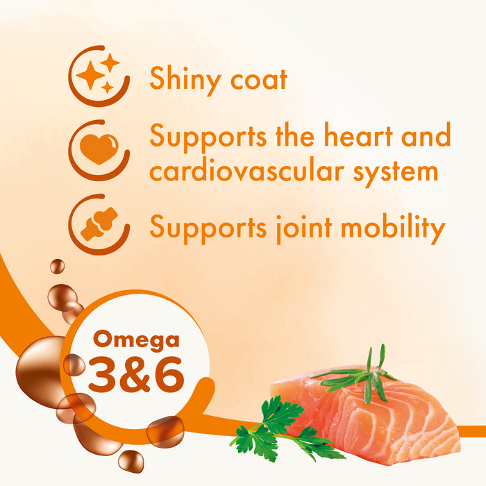 Beaphar | Natural Dog & Cat Supplement | Salmon Oil - 425ml