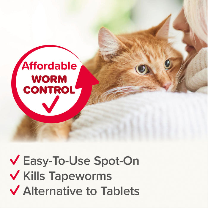 Beaphar | WormClear Spot-On Cat Dewormer | Easy Tapeworm Treatment