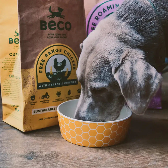 Beco | Printed Dog Bowl - Honeycomb