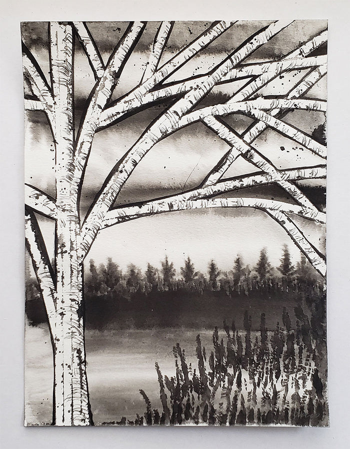 "Birch By the Lake" by Dan Herro