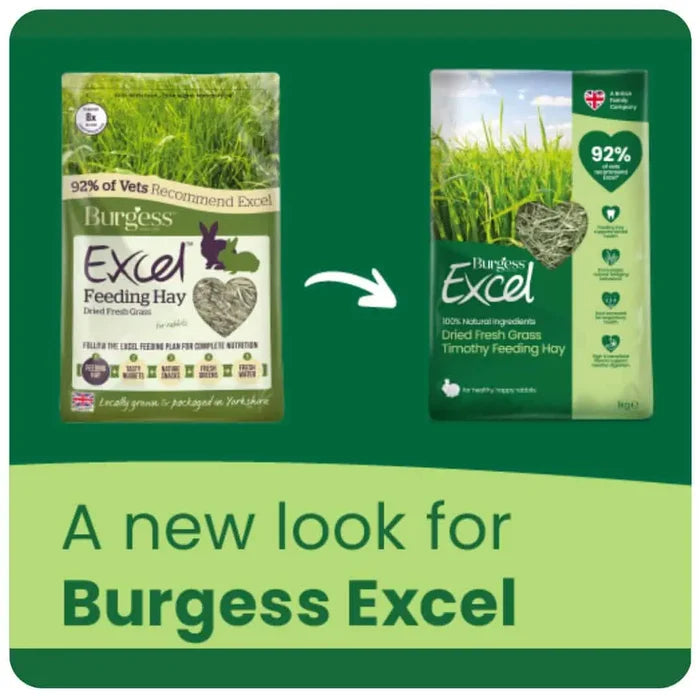 Burgess Excel | Small Pet Forage | Barn Dried Fresh Grass Hay - 1kg