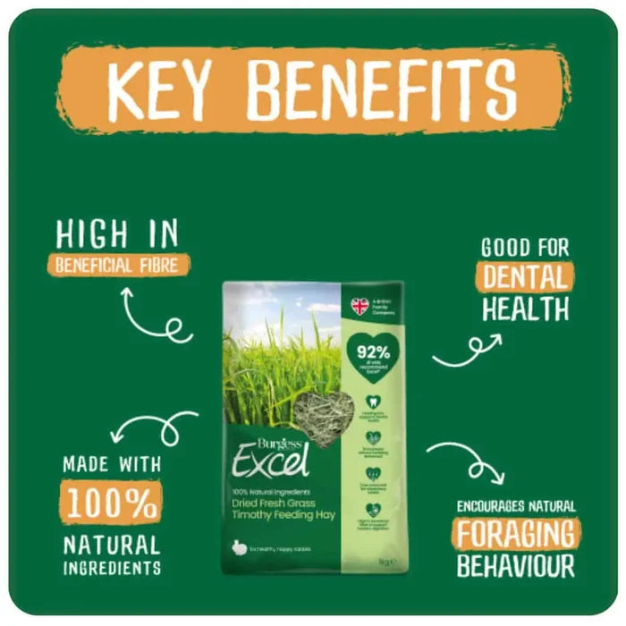 Burgess Excel | Small Pet Forage | Barn Dried Fresh Grass Hay - 1kg