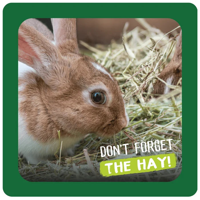 Burgess Excel | Small Pet Forage | Barn Dried Fresh Grass Hay - 1kg