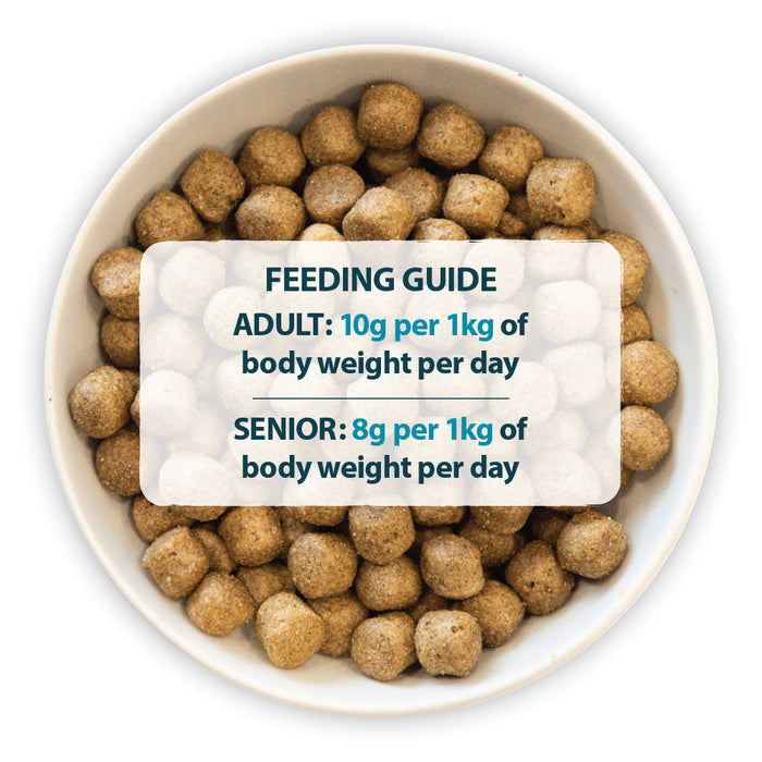 Burns Chicken & Rice Adult Original Holistic Gluten Free Dry Dog Food