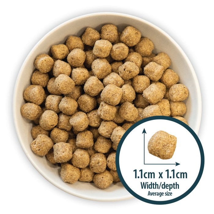 Burns Chicken & Rice Adult Original Holistic Gluten Free Dry Dog Food