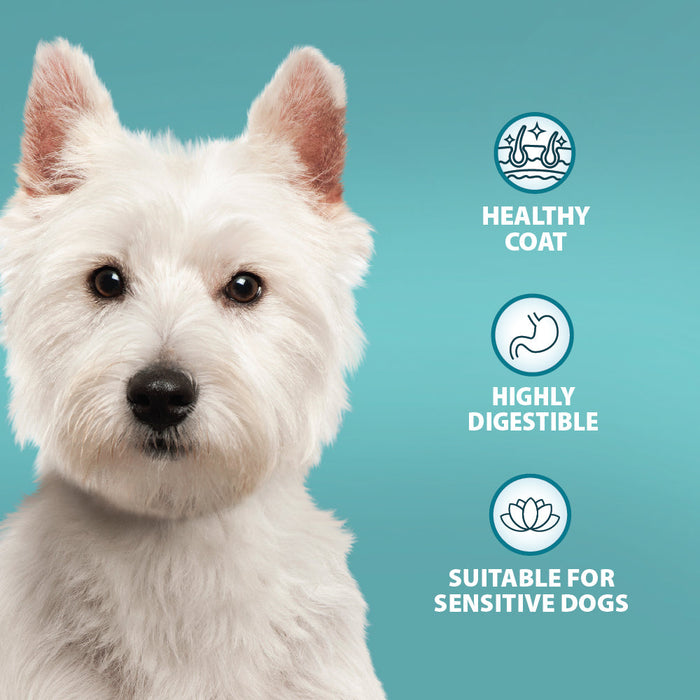 Burns Chicken & Rice Adult Original Holistic Gluten Free Dry Dog Food