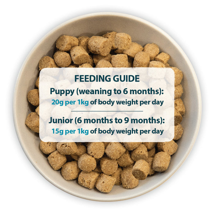 Burns Mini Puppy Chicken & Rice Original Holistic Gluten Free Dry Food for Small Breed Dogs