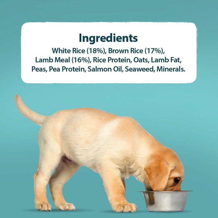 Burns Puppy Lamb & Brown Rice Original Holistic Gluten Free Dry Dog Food