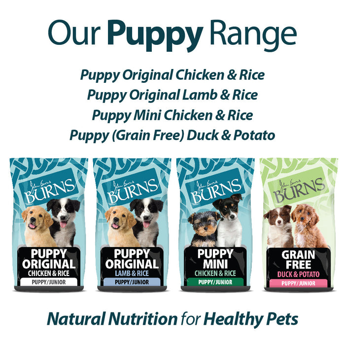 Burns Puppy Lamb & Brown Rice Original Holistic Gluten Free Dry Dog Food