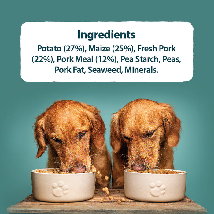 Two dogs eating from bowls with a list of ingredients displayed above.