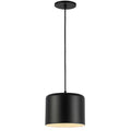 Dainolite EMI-81P-MB Matte Black Pendant Light, 1 Light Fixture, Modern Design