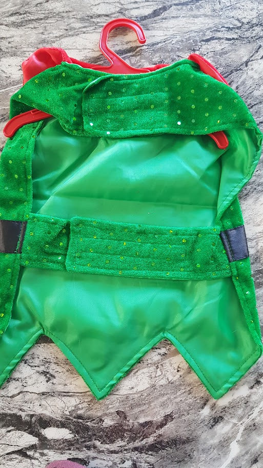 Green dog jacket on a hanger against a stone background
