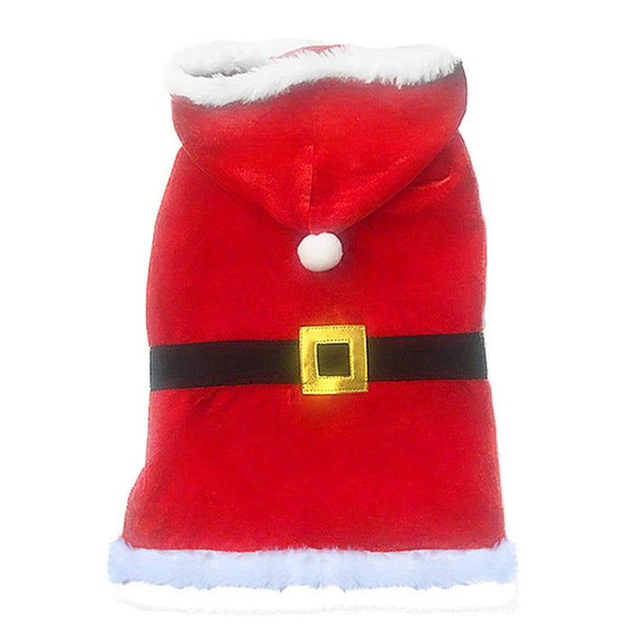 Santa coat for a dog with a black belt and gold buckle
