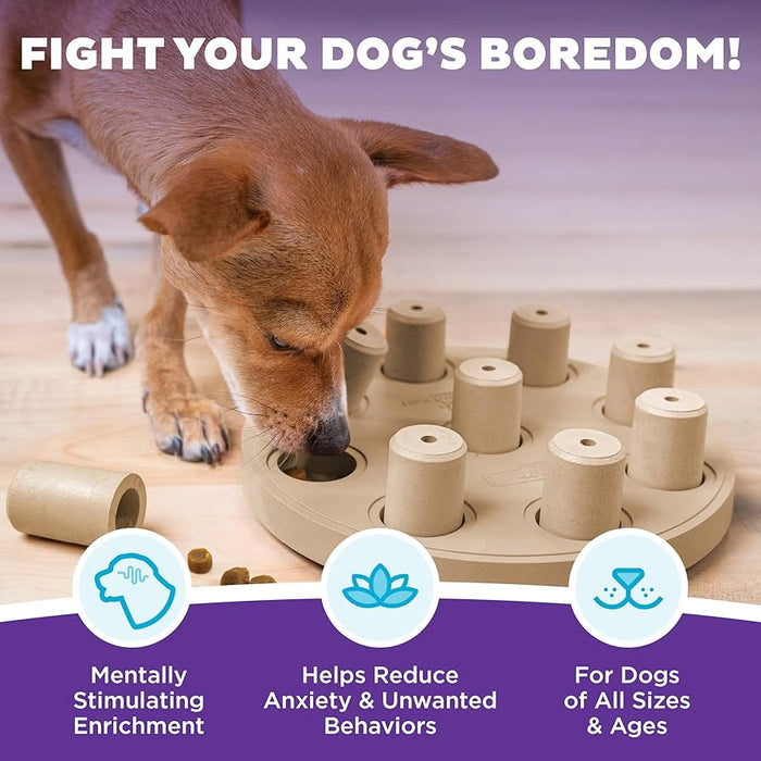 Dog interacting with a puzzle toy on a wooden floor.