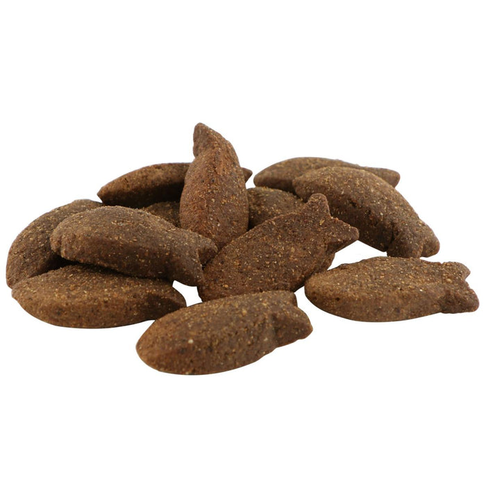 Fish4Dogs Support+ Skin & Coat Mackerel Morsels Grain Free Dog Biscuits
