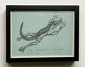 "Frogodile" by Stephanie Copoulos-Selle