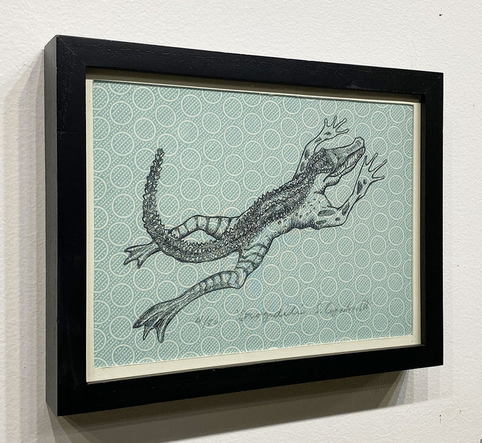 "Frogodile" by Stephanie Copoulos-Selle