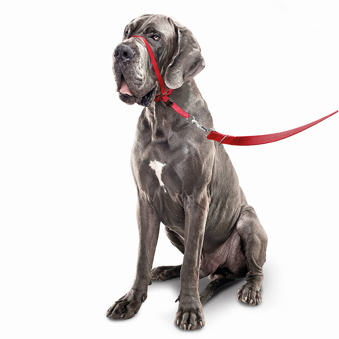 Gentle Leader | Dog Walking | No Pull Headcollar - Red