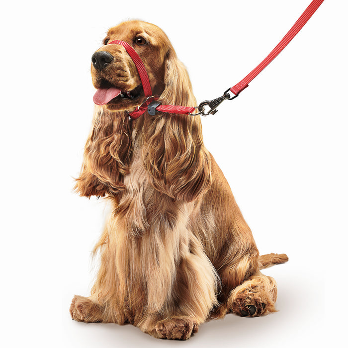 Gentle Leader | Dog Walking | No Pull Headcollar - Red
