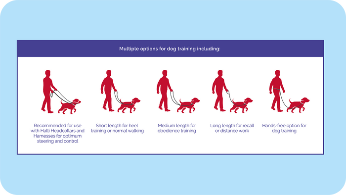 Halti | Dog Training | Double Clip Control Lead