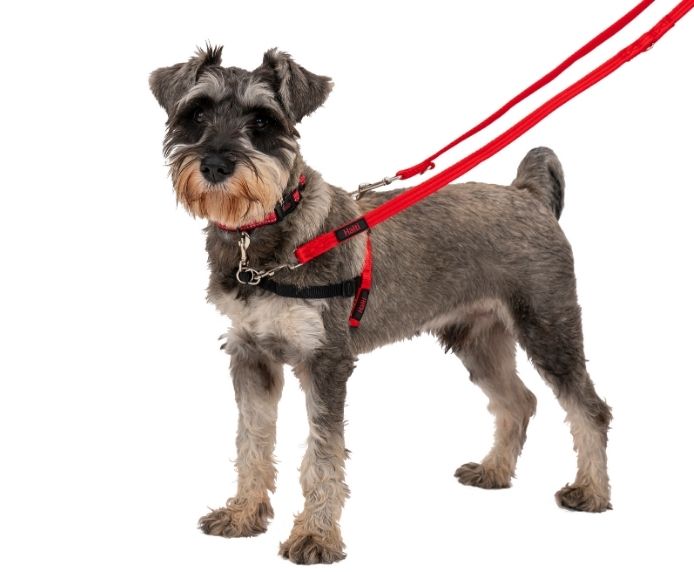 Halti | Dog Training | Double Clip Control Lead