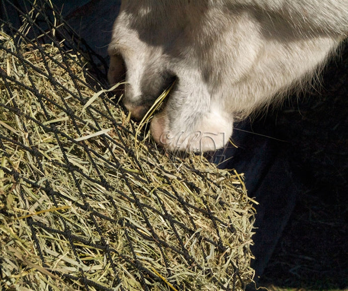 Hay Chix Cinch Net for Square Bales