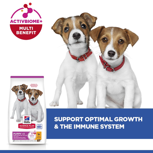 Hill's Science Plan Mini Puppy Chicken Small Breed Dry Dog Food