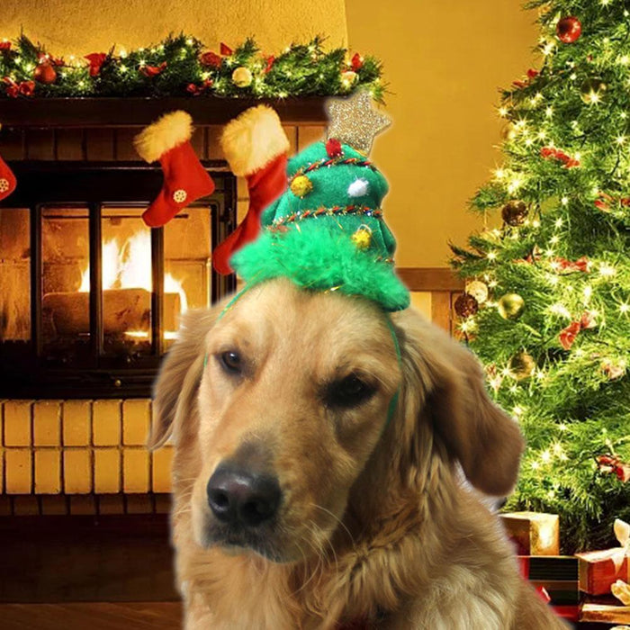 Holly & Robin | Festive Dog Dress-Up | Christmas Tree Headband