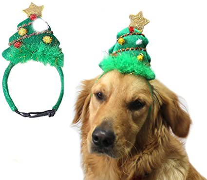 Holly & Robin | Festive Dog Dress-Up | Christmas Tree Headband
