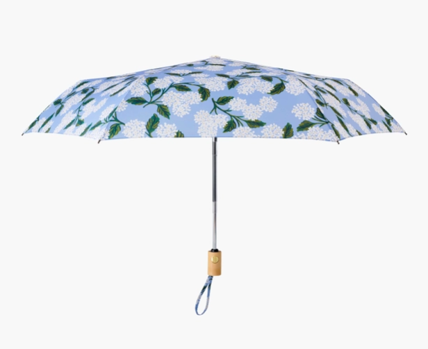 Hydrangea Umbrella