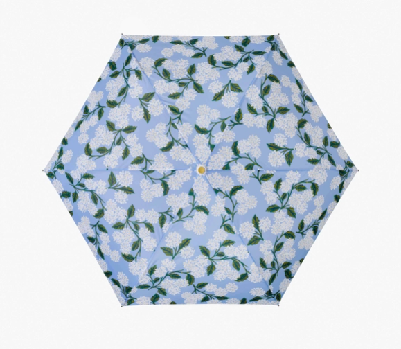 Hydrangea Umbrella