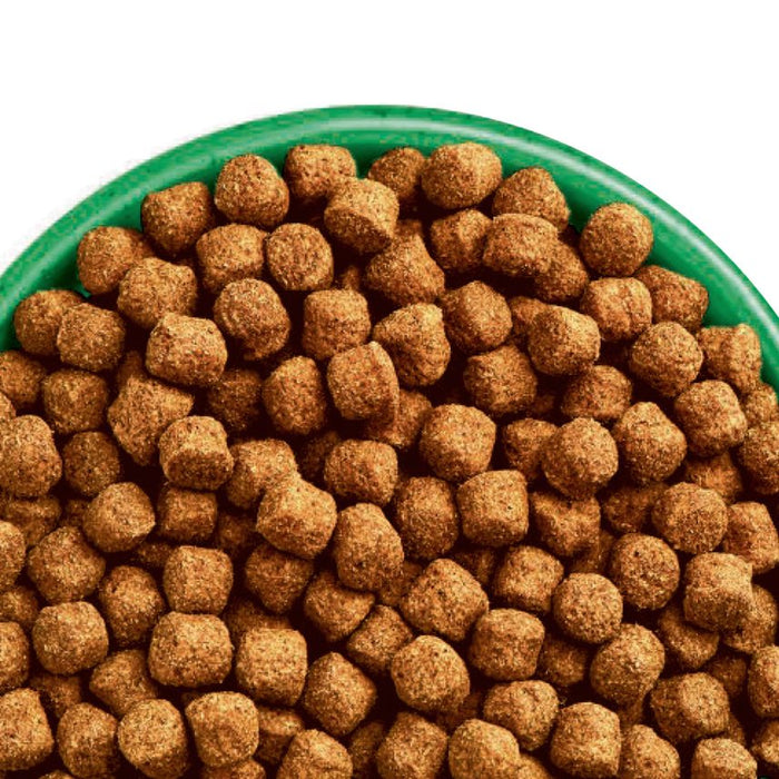 James Wellbeloved Adult Lamb & Rice Dry Dog Food