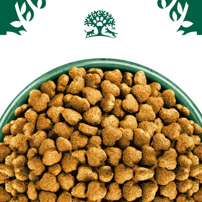James Wellbeloved Adult Turkey & Rice Dry Dog Food