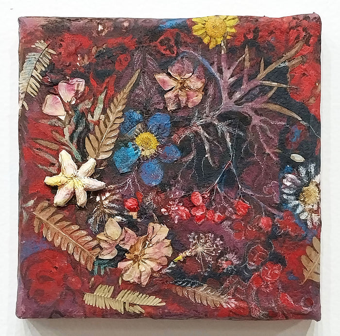 "Lily and Fern" by Dara Larson