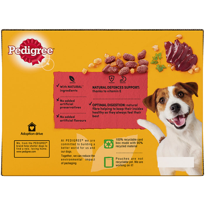Pedigree Mixed Selection In Jelly Wet Dog Food Pouches 12 x 100g