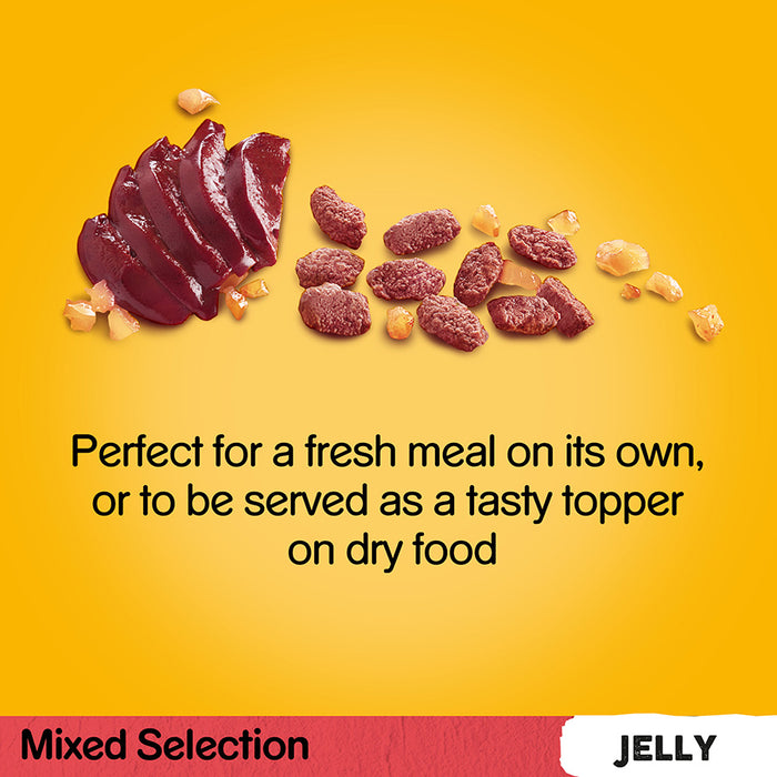 Pedigree Mixed Selection In Jelly Wet Dog Food Pouches 12 x 100g