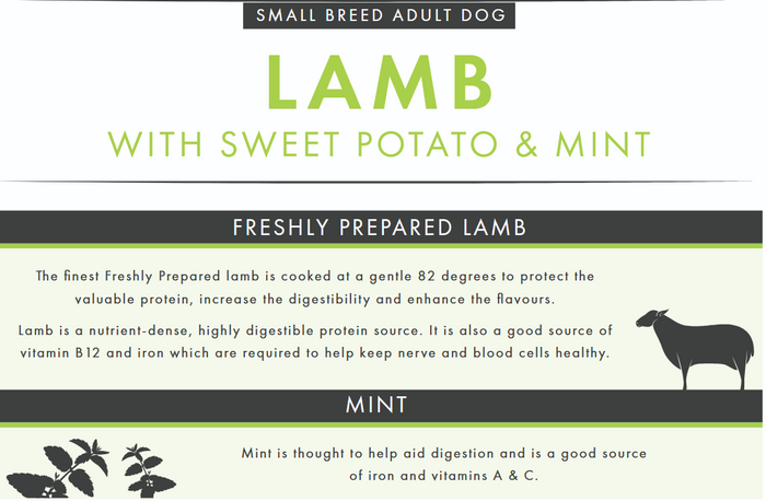 Pet Connection Lamb with Sweet Potato & Mint Small Breed Adult Hypoallergenic Grain Free Dry Dog Food