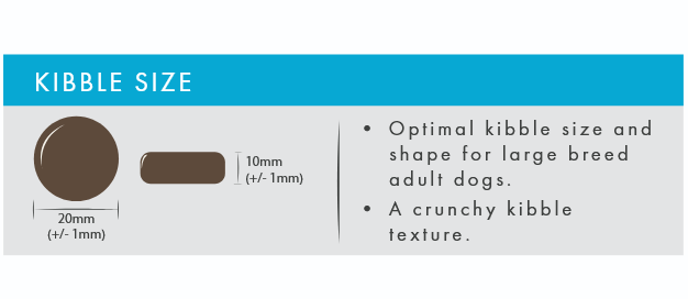 Kibble size chart for large breed adult dogs with text and measurements.