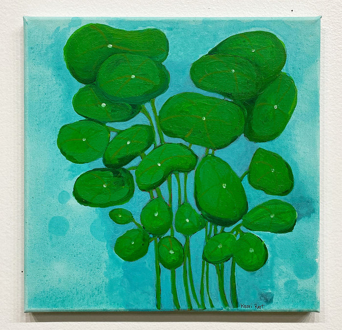 "Pilea" by Kerri Root