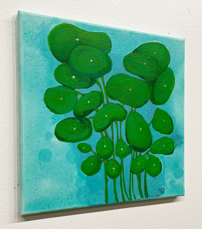 "Pilea" by Kerri Root