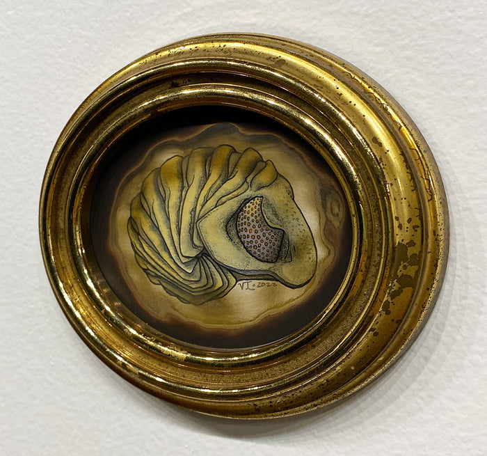 "Roly-Poly Trilobite" by Ven Loetz