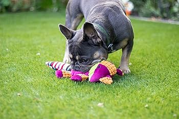 Rosewood Chubleez | Charlie Cat | Soft Dog Toy